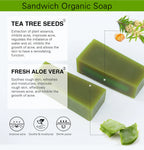AILKE Aloe Vera Whitening Soap, Remove Acne, Spots, Skin Radiant, Improve Skin Luster, Vegan Bath Wash for All Skin Types, 200g mbzr