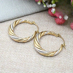 316 Stainless Steel Two-tone Twisted Hoop Earrings, Classic Retro Textured Jewelry
