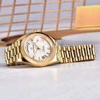 PAGANI DESIGN New Gold DD36 Men's Watches Luxury Automatic Watch Men AR Sapphire Glass Mechanical Wristwatch Men ST16 Movt Clock