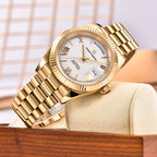 New DD36 Men's Watches PAGANI DESIGN Luxury Gold Automatic Watch Men AR Sapphire Glass Mechanical Wristwatch Men 10Bar ST16 Movt